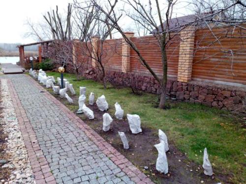 damba-ukrainka (2)